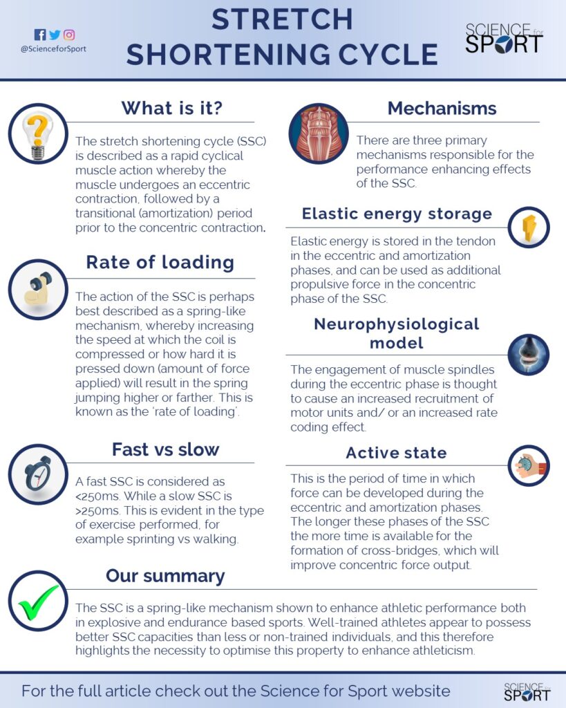 Stretch Shortening Cycle